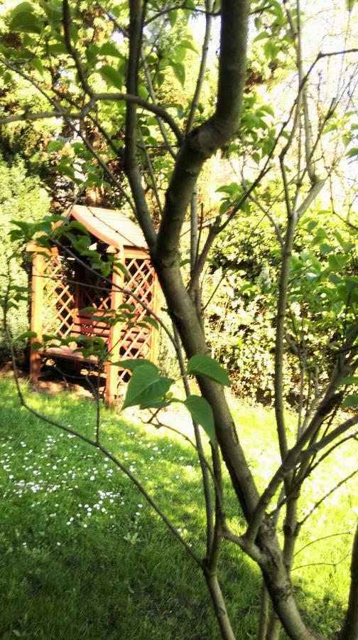 Apartament U Adeli غدينيا المظهر الخارجي الصورة